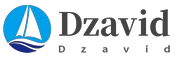 dzavid.com