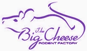 bigcheeserodents.com