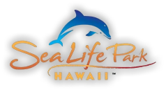 sealifeparkhawaii.com