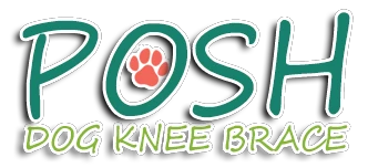 poshdogkneebrace.com