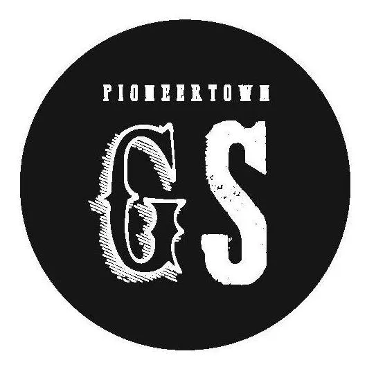 pioneertowngeneralstore.com