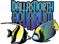 dallasnorthaquarium.com