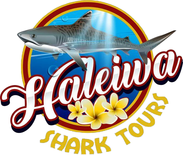 haleiwasharktours.com