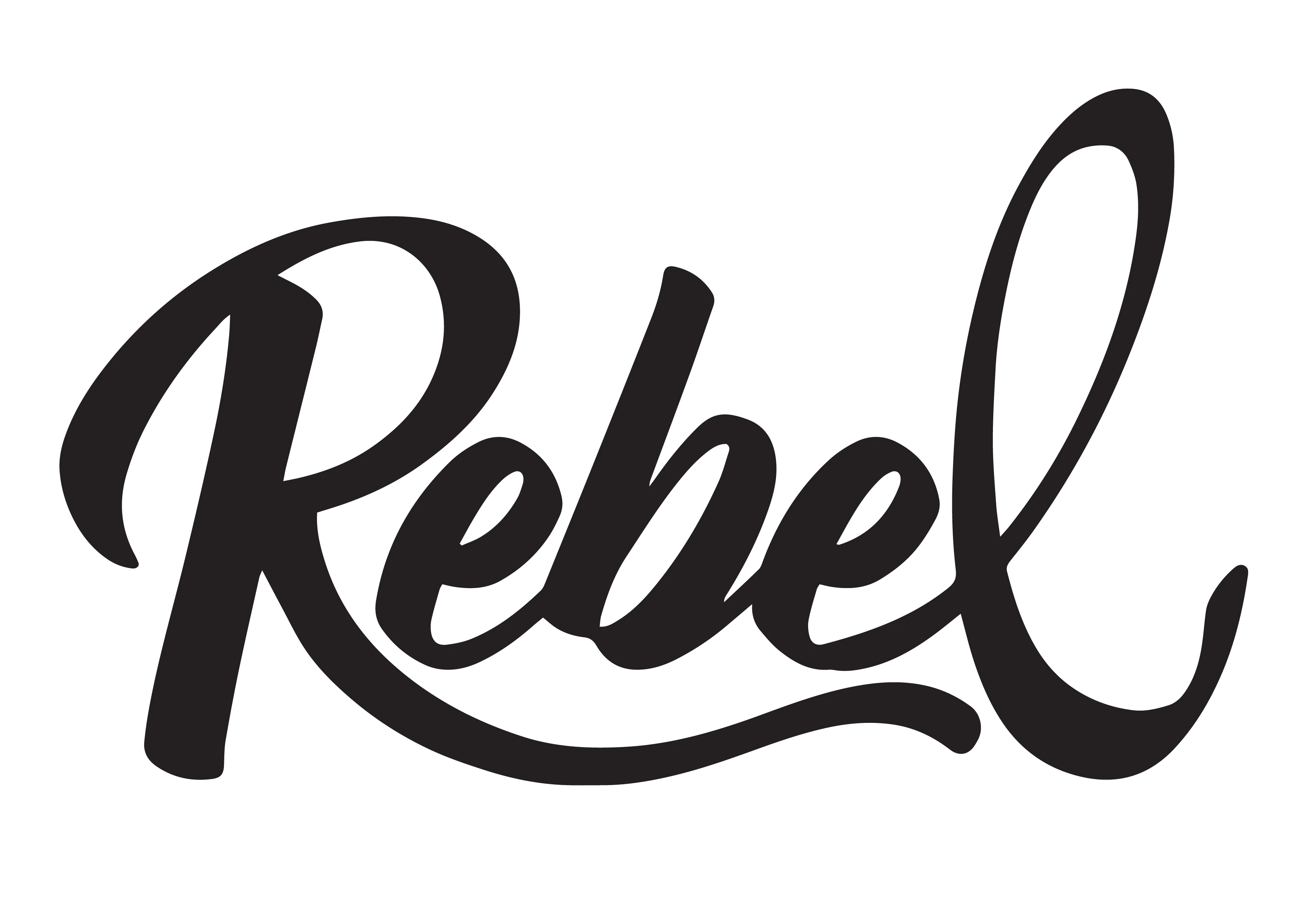 rebelcreamery.com