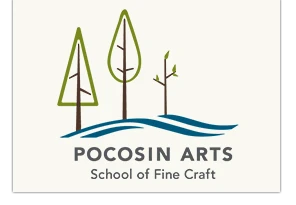 pocosinarts.org