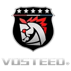 vosteed.com