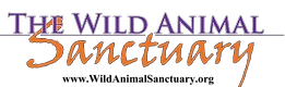 wildanimalsanctuary.org