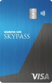 skypassvisa.com