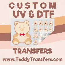 teddytransfers.com