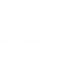 dasaita.com