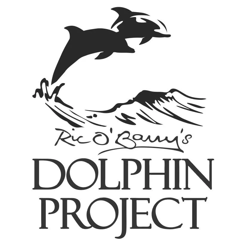 dolphinproject.com