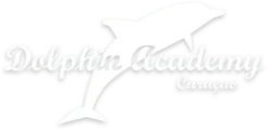 dolphin-academy.com