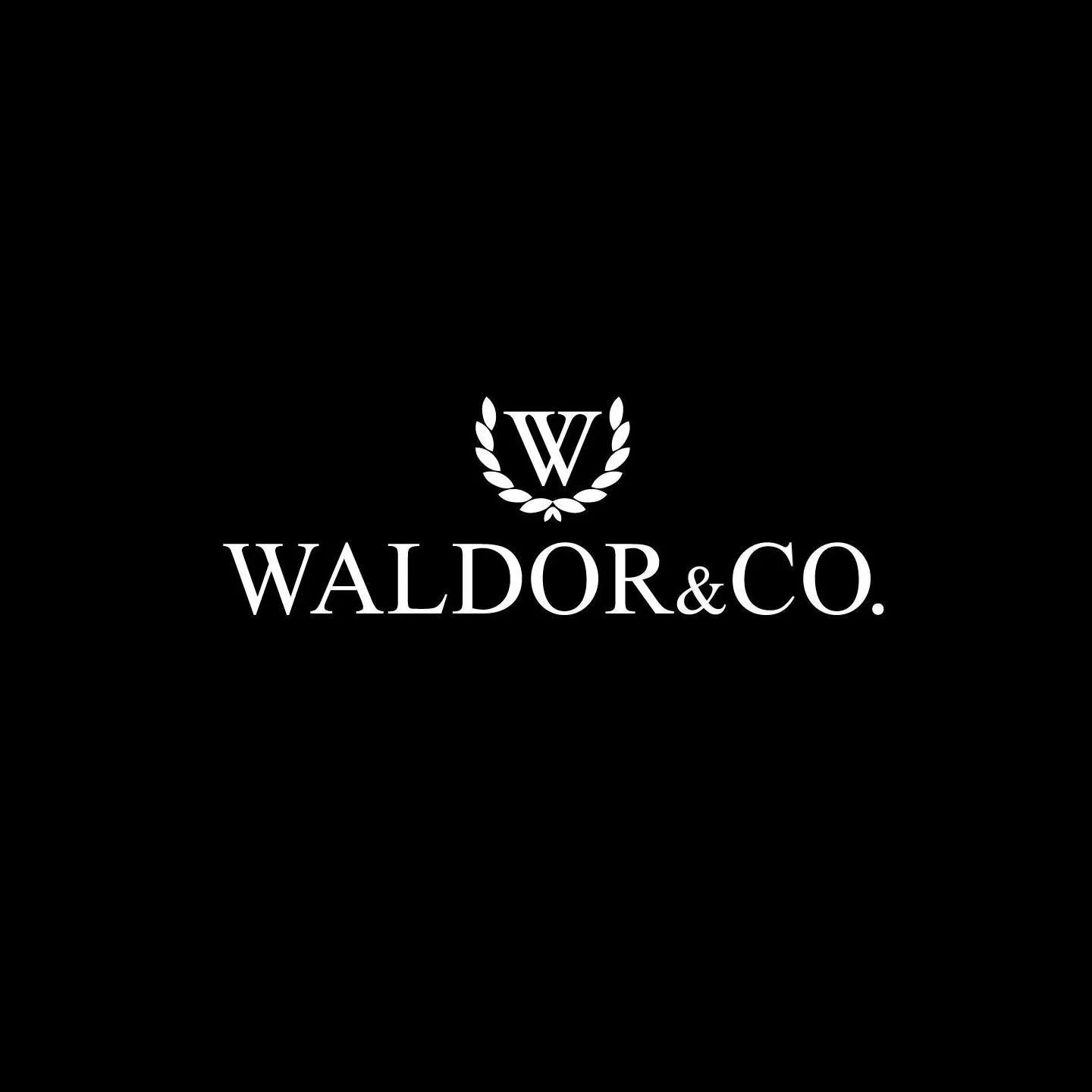 waldorandco.com