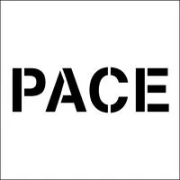 pacegallery.com