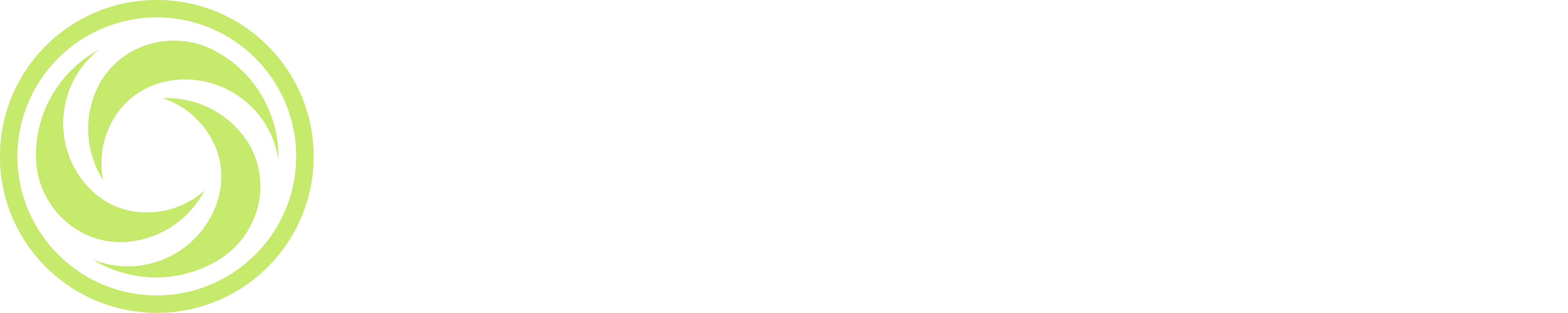 spinwavepickleball.com