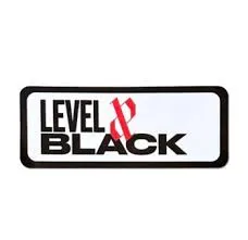 levelxblack.com