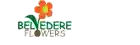 belvedereflowers.com