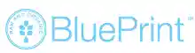 blueprint.com