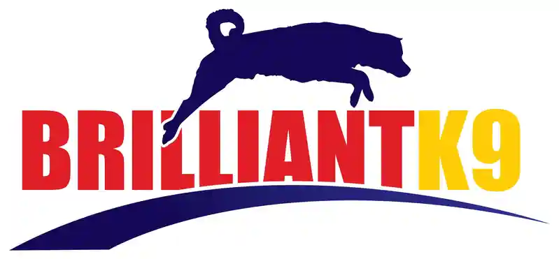 brilliantk9.com