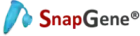 snapgene.com